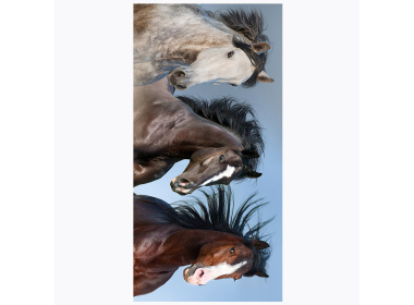 Plážová osuška Divocí Koně v Přírodě 70x140 cm