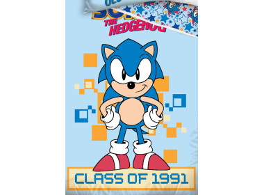 Dětské povlečení Ježek Sonic Class Of 1991