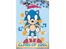 Dětské povlečení Ježek Sonic Class Of 1991