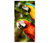 Plážová osuška Barevní Papoušci Ara 70x140 cm