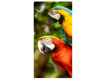 Plážová osuška Barevní Papoušci Ara 70x140 cm