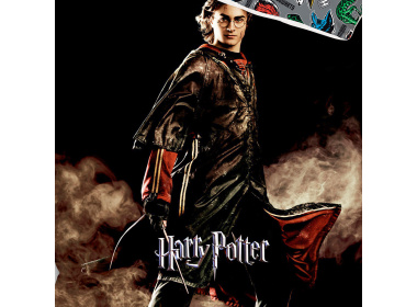 Dětské povlečení Harry Potter Ohnivá Zkouška