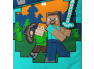 Dětské povlečení Minecraft Alex a Steve