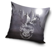 Dětský polštářek Harry Potter Bradavické Tajemství
