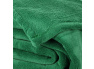 Deka mikroplyš 150x200 cm Zelená