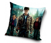 Dětský polštářek Harry Potter a Čarodějové