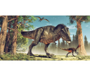 Dětská osuška Dinosauří svačinka
