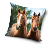 Dekorační polštářek Koně Hnědáci