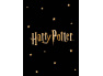 Dětská deka Harry Potter Gold Stars 130x170 cm