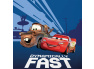 Povlečení Cars 3 Blesk McQueen a Burák