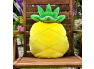 Squish polštářek Ananas Čenda
